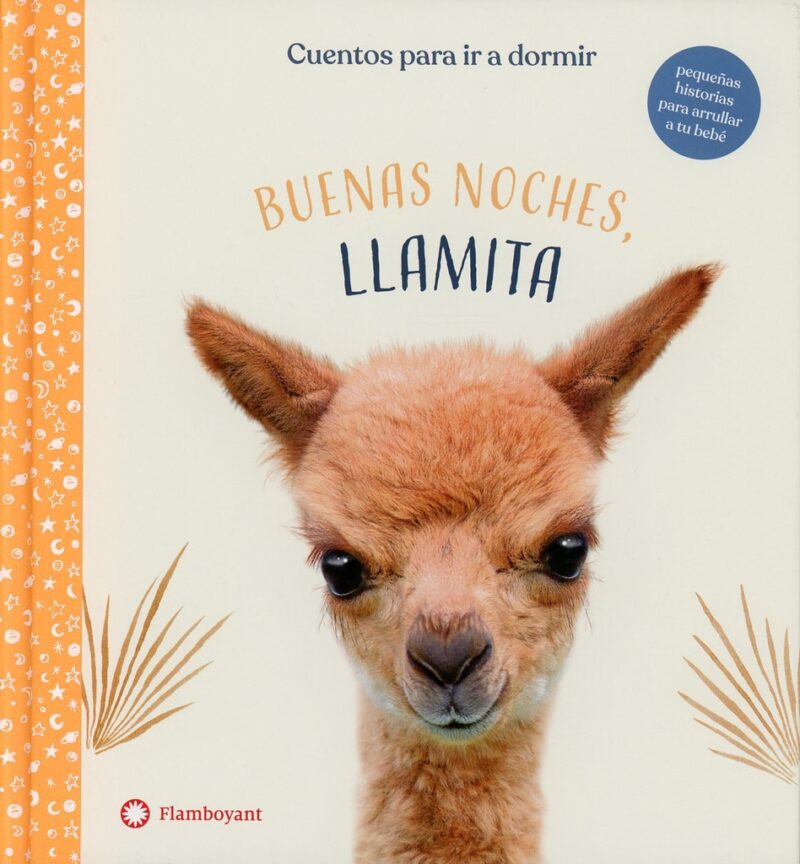 Buenas noches, Llamita